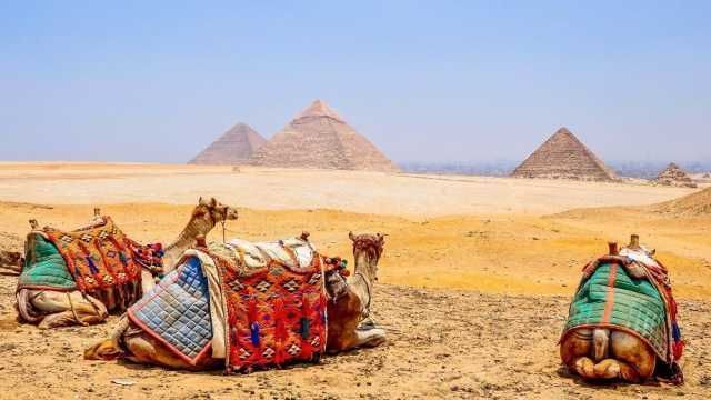Overnight Cairo Tour by Flight from Hurghada