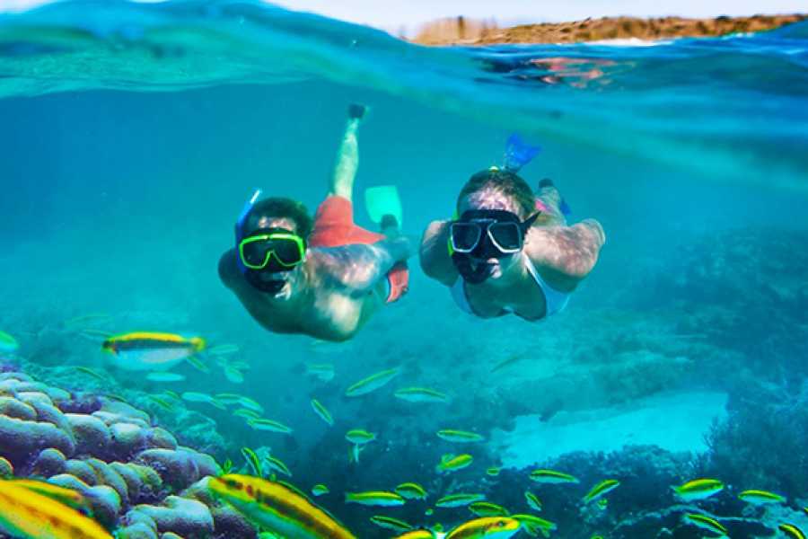Hurghada Snorkeling Trip in Giftun Island